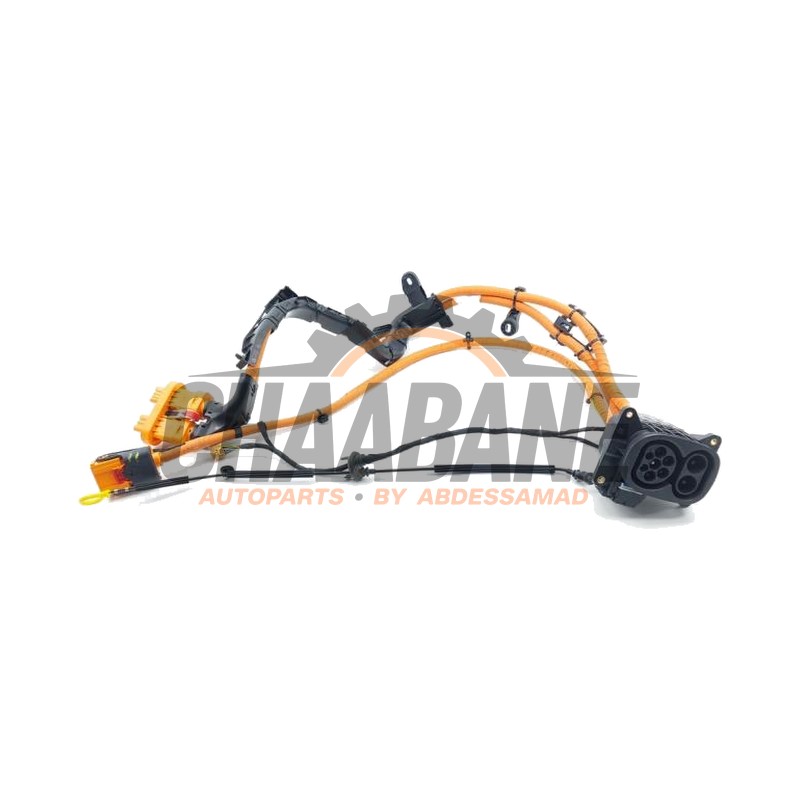 Port de chargement voiture electrique 11A971531DJ Volkswagen ID.5 (E39) Pro Performance 2021