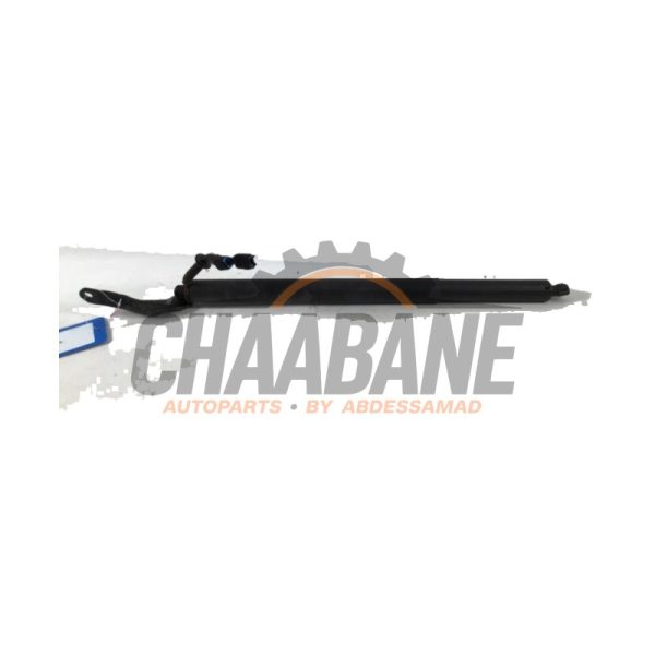 Amortisseur a gaz arriere gauche 9465654 BMW X2 2017 / 2023