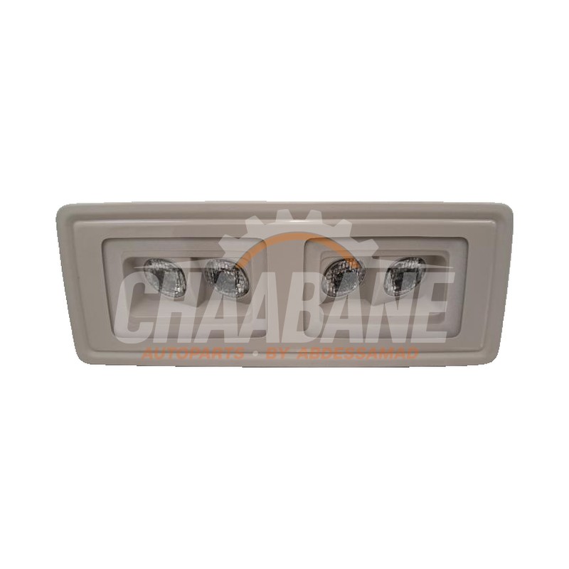 Eclairage interieur avant Skoda Enyaq iV 80 2021