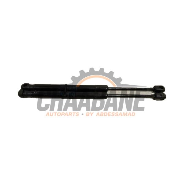 Amortisseur kit capot moteur 5123729916104 BMW I3 2013 / 2022