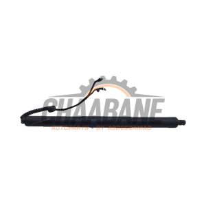Hayon moteur 51247294470 BMW X5 (F15) xDrive 40e PHEV 2.0 2013 / 2018