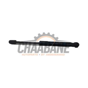 Amortisseur kit capot moteur 5123723923306 BMW M1 2012 / 2019