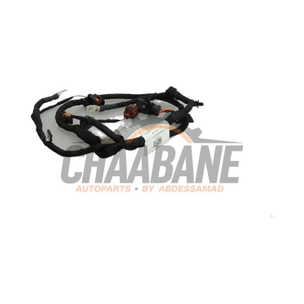 Faisceau de cables 5WA971230FF Volkswagen Golf VIII Variant (GC5) 2.0 TSI 16V 2020