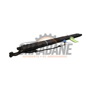 Kit amortisseur gaz hayon A1679800564 Mercedes GLE (V167) 300d 2.0 Turbo 16V 4-Matic