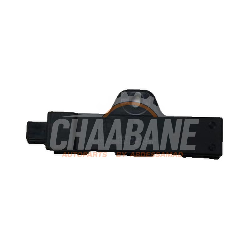 Antenne 65209220832 BMW i3 (I01) i3s 120Ah 2013 / 2022