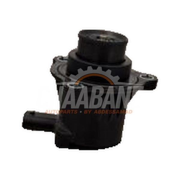 Divers 06N145710B Audi S3 Sportback (8YA) 2.0 T FSI 16V 2020
