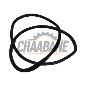 Joint caoutchouc portiere 4portes arriere gauche 7349665 BMW X1 2014 / 2022