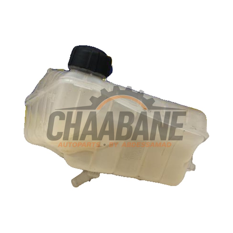 Vase dexpansion 8200455786 Mercedes Citan (415.6) 1.5 108 CDI Euro 6