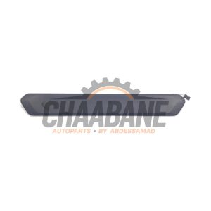 Marche-pied (list de couverture) gauche 5A0C89603 BMW iX3 80 kWh 2020