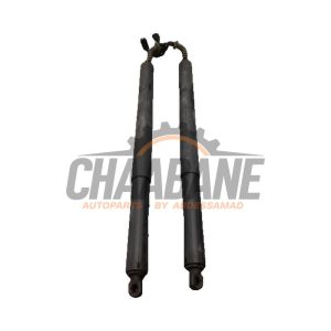 Kit amortisseur couvercle coffre 17893910 BMW X2 (F39) sDrive 20i 1.5 12V TwinPower Turbo 2017 / 2023