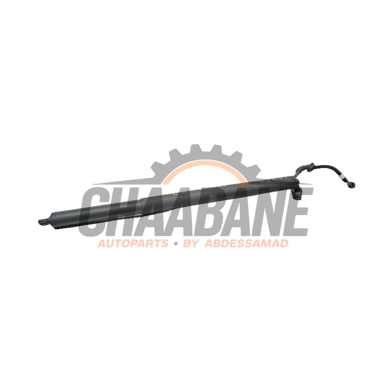 Amortisseur a gaz arriere gauche 80F827851B Audi Q4 (F4B) 40 e-tron 2021
