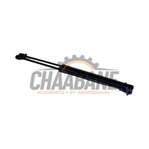 Kit amortisseur gaz hayon 5F4827550A Seat Leon (5FB) 1.4 TSI ACT 16V 2012 / 2020