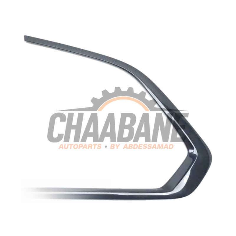 Bande decorative 744408706 BMW X5 (G05) xDrive 40i 3.0 24V 2018