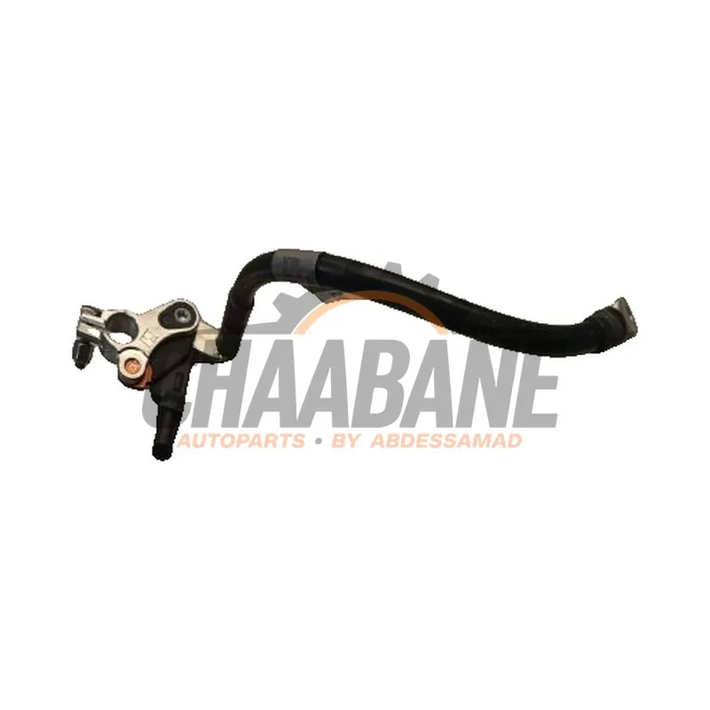 Borne de batterie T2R13573 Jaguar F-type 2.0 Turbo 16V