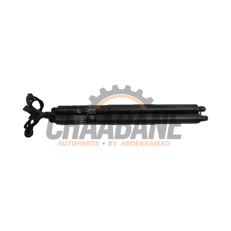 Verin de coffre 72944697361878 BMW X5 2013 / 2018