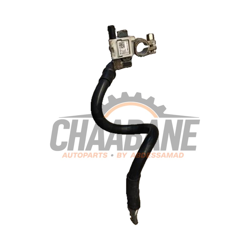Borne de batterie 80A915181A Audi SQ5 (8RB) 3.0 TDI V6 24V 2012 / 2017
