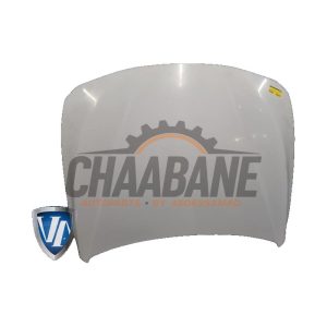 Capot 41007290944 BMW 3 serie Touring (F31) 2012 / 2019