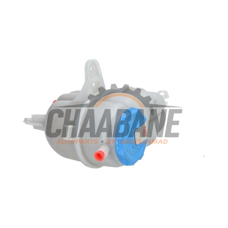 Vase dexpansion 8W0121405E Audi S5 Avant (FU5) 2.0 TFSI 16V 2024