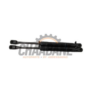 Amortisseur kit capot moteur 5123723923305 BMW 1-Serie 2015 / 2019
