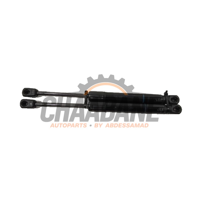 Amortisseur kit capot moteur 5123723923305 BMW 1-Serie 2015 / 2019