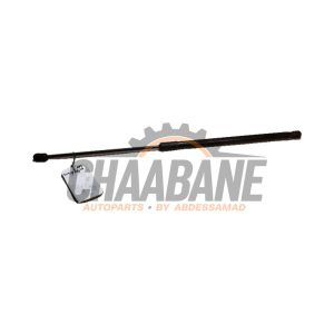 Amortisseur capot moteur gauche 4KE823359 Audi E-tron (GEN) 55 quattro 2018