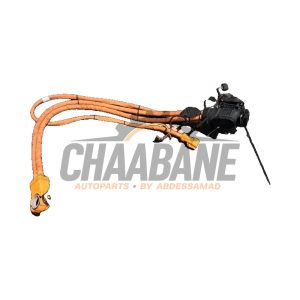 Port de chargement voiture electrique 85H971093AJ Porsche Macan (XA) 2024