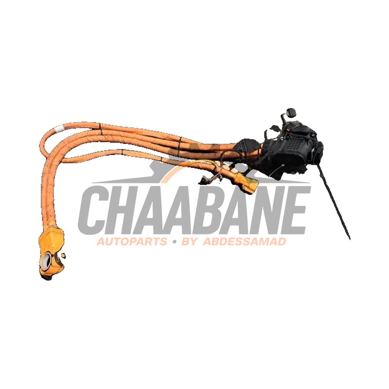 Port de chargement voiture electrique 85H971093AJ Porsche Macan (XA) 2024