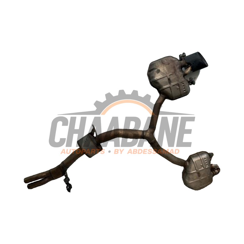 Echappement silencieux arriere+central 8W0253411AB Audi RS 4 Avant (B9) 2.9 V6 TFSI 24V 2017