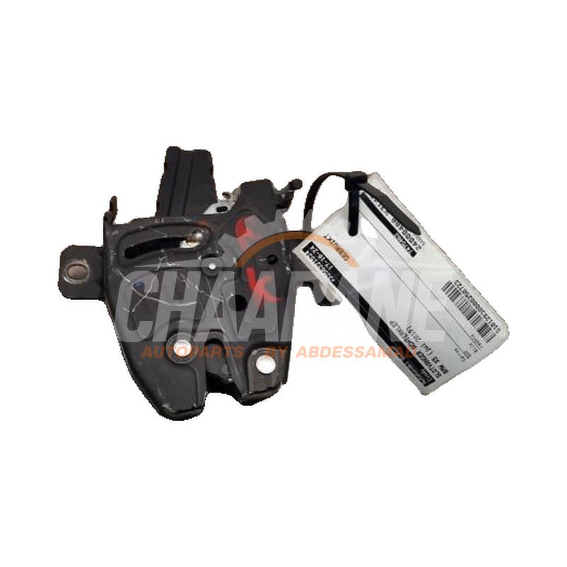 Serrure hayon 51247357112 BMW X5 (G05) xDrive 30d 3.0 24V 2018
