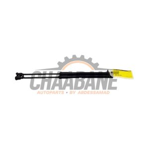 Kit amortisseur gaz hayon 5F4827550A Seat Leon (5FB) 1.2 TSI Ecomotive 16V 2012 / 2020