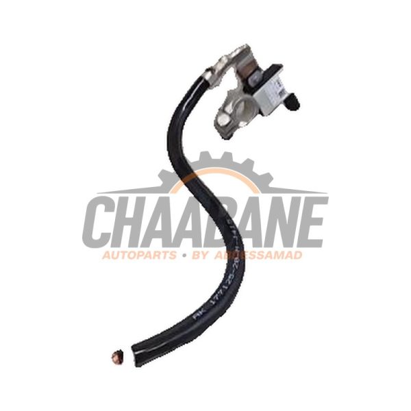 Capteur de batterie 61216819309 BMW X5 (F15) 2013 / 2018