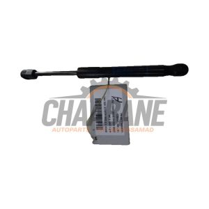 Amortisseur kit capot moteur BMW X5 2018