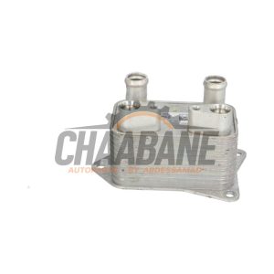 Refroidisseur dhuile 7LA317019 Volkswagen Transporter 2015 / 2024