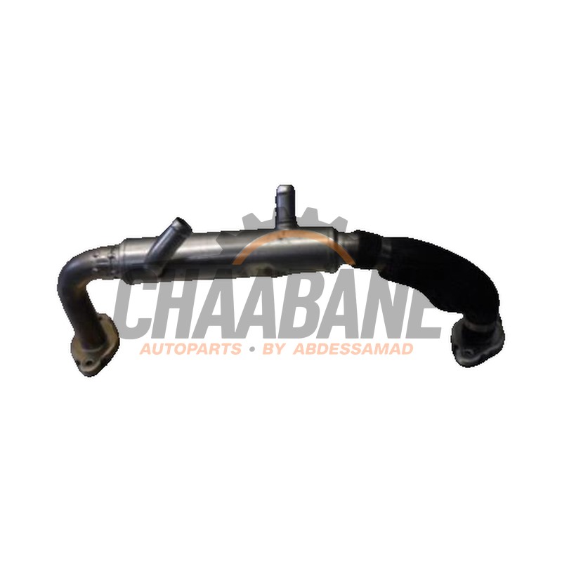 Tube RGE JDE39252 Jaguar XE 2.0 D E-Performance 16V