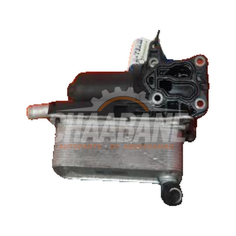 Refroidisseur dhuile 2465010101 Mercedes A (W176) 2.0 A-250 Turbo 16V