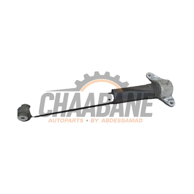 Amortisseur arriere droit HK8318080BB Jaguar F-Pace 2.0 D 180 16V AWD