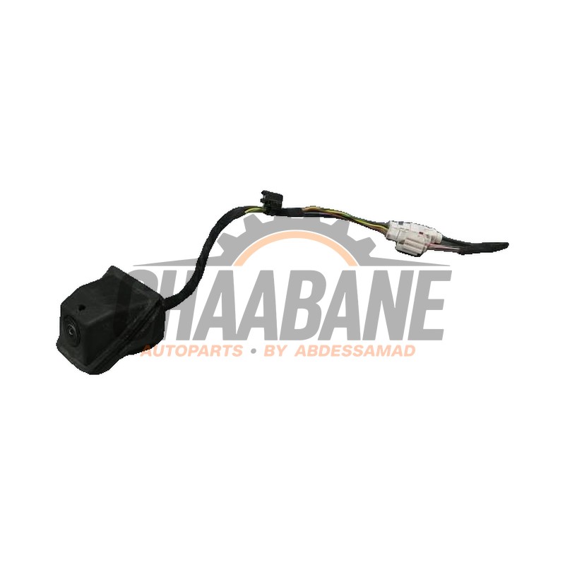 Camera de recul A4477408700 Mercedes eVito