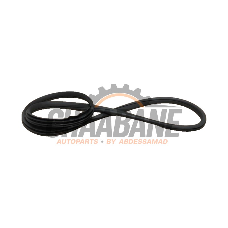 Joint caoutchouc portiere 4portes arriere gauche A2136970900 Mercedes E (W213) E-63 AMG S 4.0 V8 Turbo 4-Matic+