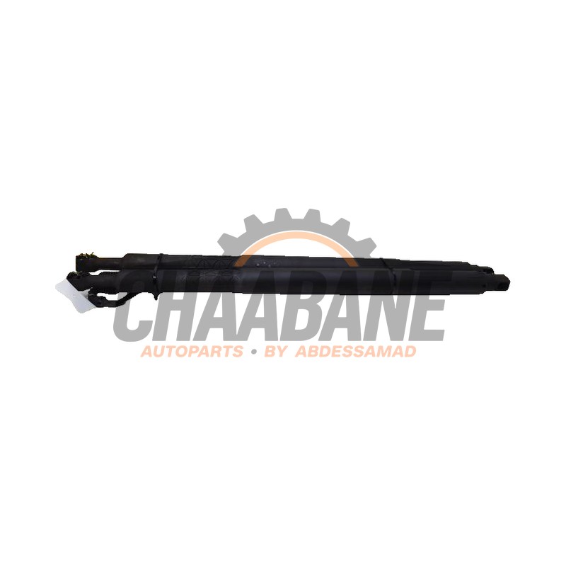 Verin de coffre 02170381 BMW 6 serie Gran Turismo (G32) 630d xDrive 3.0 TwinPower Turbo 24V 2017 / 2024