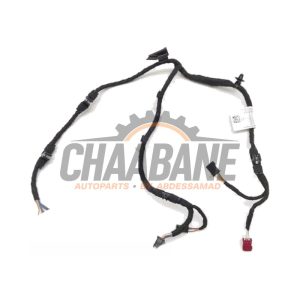 Faisceau electrique 5A0C779 BMW M8 Gran Coupe (F93) 4.4 Competition V8 32V Twin Turbo 2019