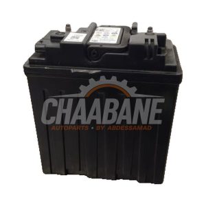 Batterie 61215A38DE3 BMW X7 xDrive40d 3.0 24V Mild Hybrid 2019