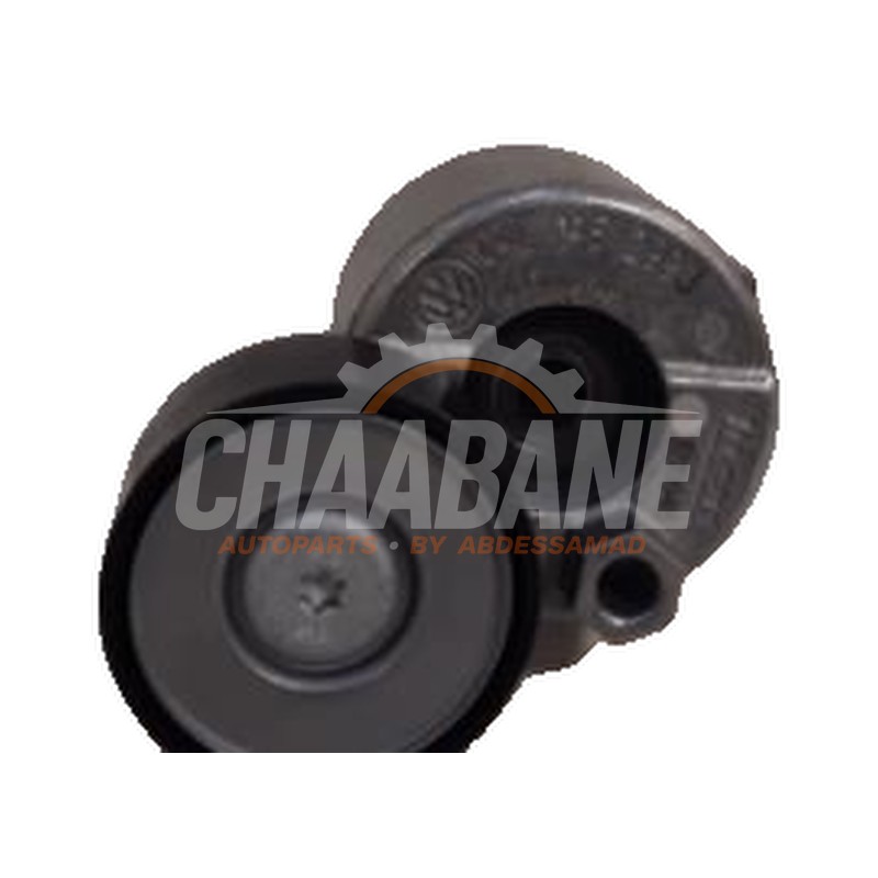 Rouleau tendeur courroie trapezoidale multiple 04L145299J Volkswagen Crafter 2016
