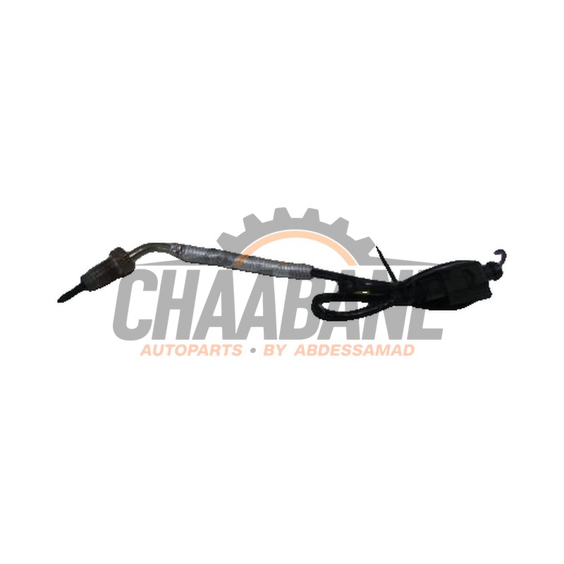 Capteur (divers) 04L906088AR Seat Leon 2012 / 2020