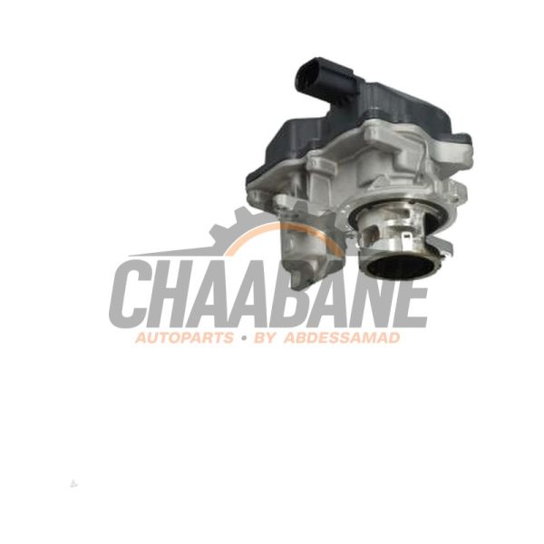 Valve RGE 05L131501N Volkswagen Tiguan (CT1) 2.0 TDI 4Motion 2023