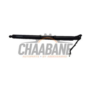 Amortisseur a gaz arriere droit 17893910 BMW 3 serie Gran Turismo (F34) 320d xDrive 2.0 16V 2012 / 2020