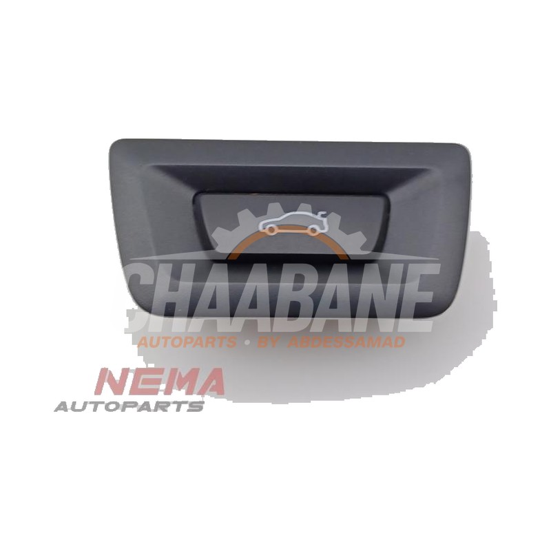 Commutateur hayon 61315A1B2F9 BMW IX 2021