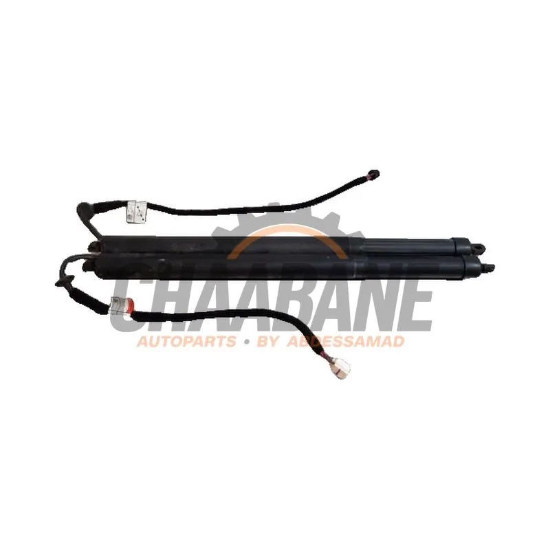 Kit amortisseur couvercle coffre LK7270355AA Landrover Discovery Sport (LC) 2.0 eD4 150 16V