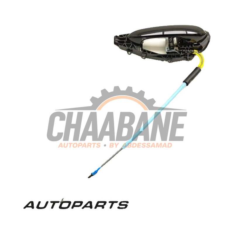 Poignee de porte arriere gauche 51219881775 BMW M8 Gran Coupe (F93) 4.4 Competition V8 32V Twin Turbo 2019