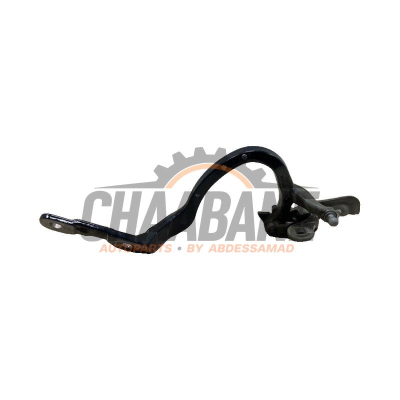 Charniere hayon 41009630333 BMW iX (I20) xDrive40 77 kWh 2021