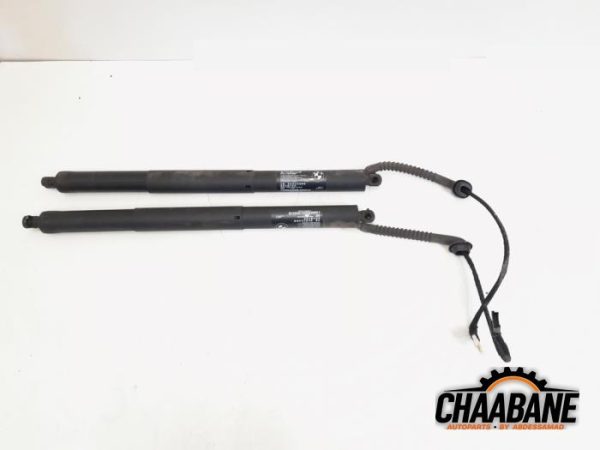 Kit amortisseur gaz hayon 51247294470 BMW X5 (F15) xDrive 40d 3.0 24V 2013 / 2018